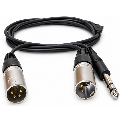 Point Source Audio ADP-4MX3M-TRS 4-Pin Male XLR to 3-Pin Male XLR/TRS Adapter Y-Cable 